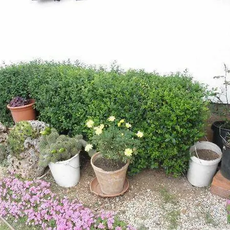 Apartament And Mila *